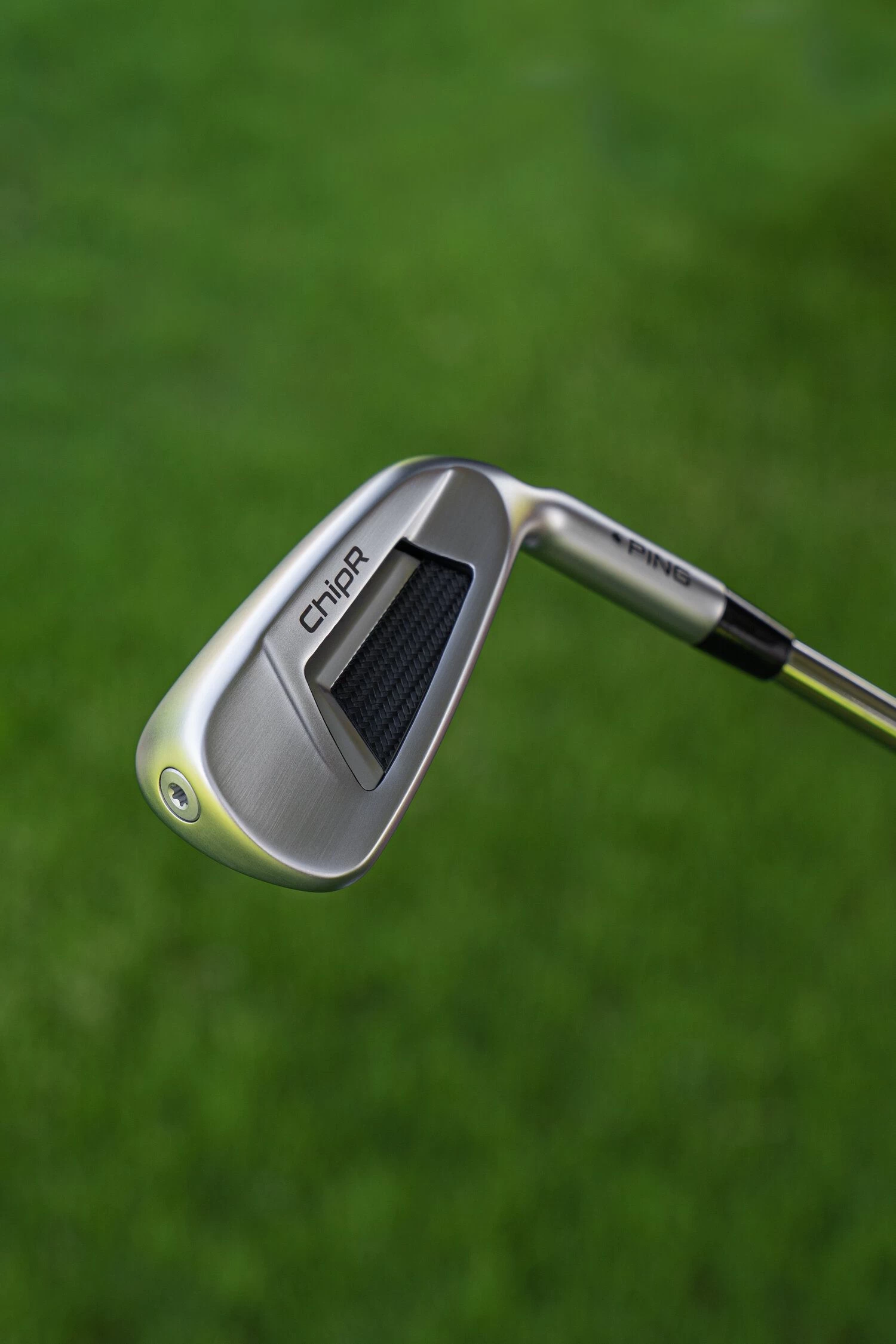 Ping ChipR Alta CB Slate Regular - Afbeelding 5